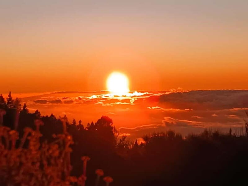 Puerto Cruz: VIP Teide Sunset & Stars, Guachiche Lunch+Cava - Who Will Love This Tour?