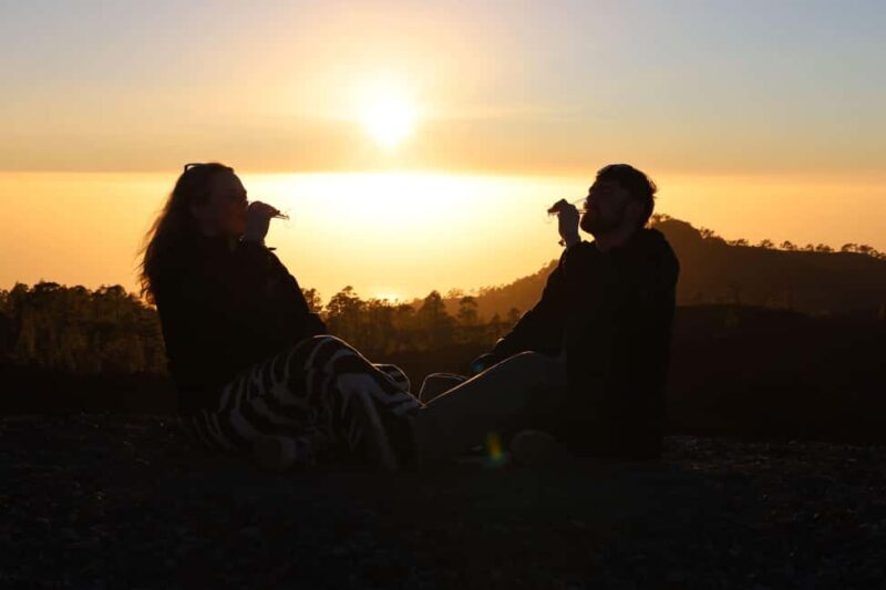 Puerto de la Cruz: Buggy Teide Sunset National Park - Who Should Consider This Tour?