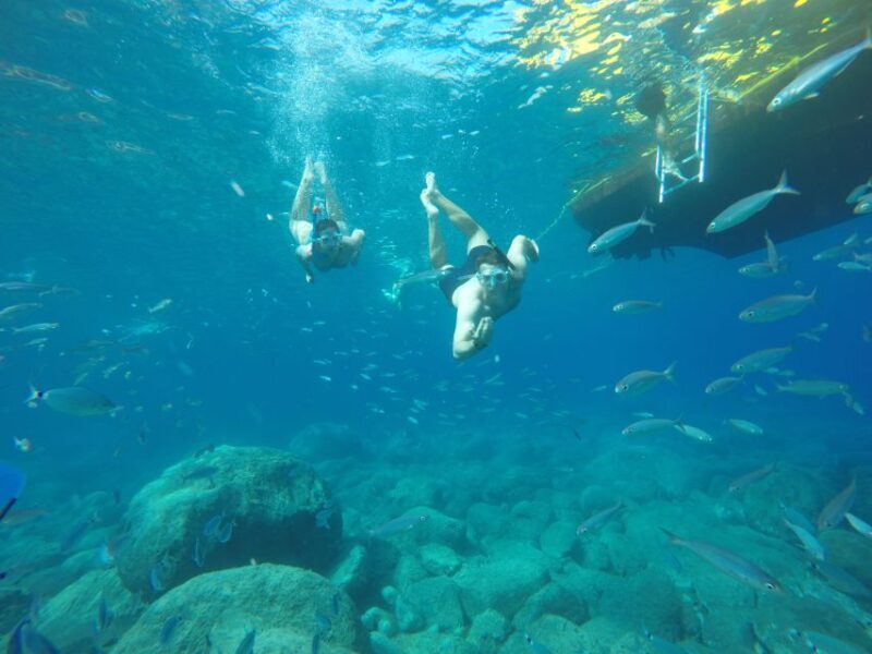 Puerto de Mogan: Boat and Snorkeling Trip - Why Is This Tour a Great Value?