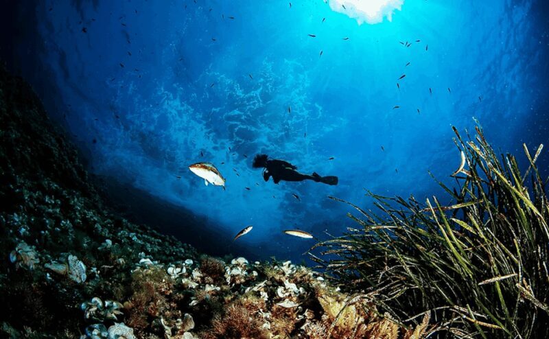 Puerto de Soller: Train and Discover Scuba Diving - The Journey Begins: From Palma to Puerto de Soller