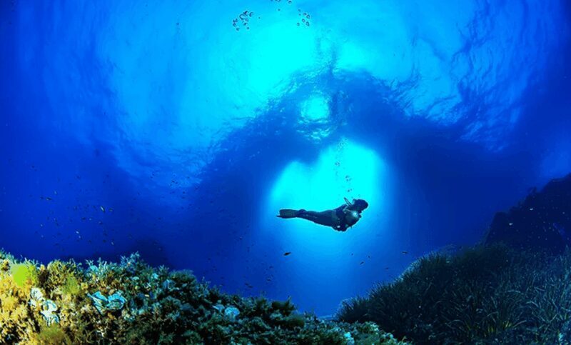 Puerto de Soller: Train and Guided Scuba Diving Experience - An Overview of the Experience