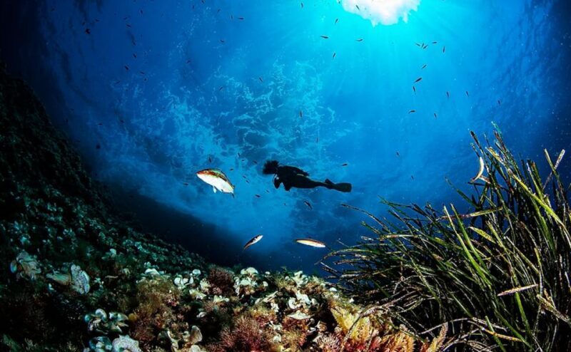 Puerto de Soller: Train and Guided Scuba Diving Experience - Authentic Insights from Reviewers