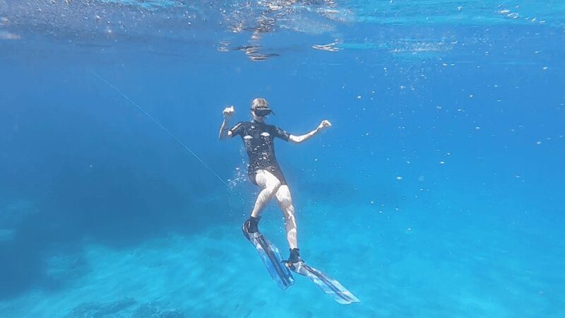 Puerto de Sóller: Train, Boat Cruise and snorkeling - Who Is This Tour Best For?