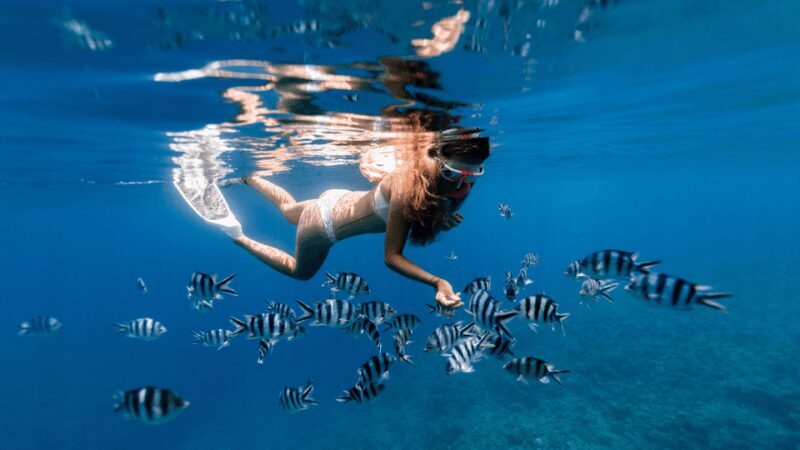 Puerto del Carmen: Snokel tour with an instructor - The Sum Up