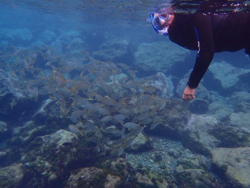 Puerto del Carmen: Snorkeling Trip with Dive Instructor - FAQ