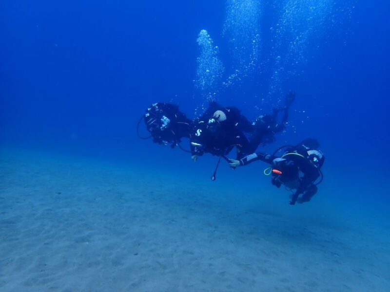 Puerto del Carmen: Try Scuba Diving from the beach - Discovering Puerto del Carmen’s Underwater World
