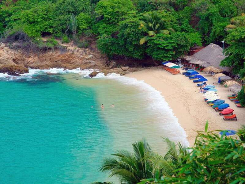 Puerto Escondido: Boat Cruise and Market Visit - Who Will Love This Tour?