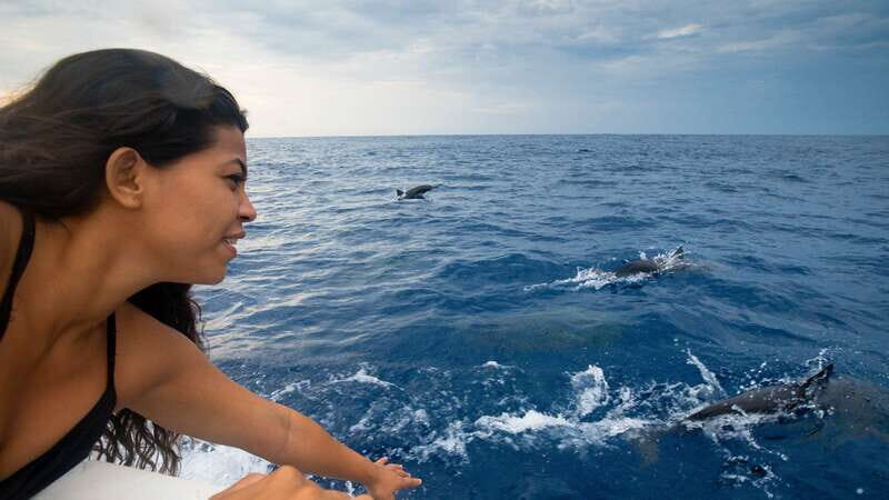 Puerto Escondido: Boat Tour among Dolphins and Turtles - An In-Depth Look at the Tour Experience