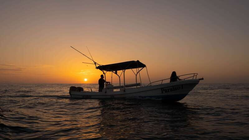 Puerto Escondido: Boat Tour among Dolphins and Turtles - Is It Worth the Price?