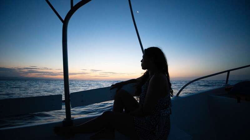 Puerto Escondido: Boat Tour among Dolphins and Turtles - The Sum Up