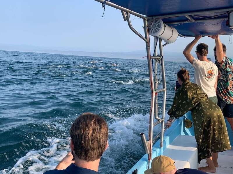 Puerto Escondido: Boat Tour to see Dolphins and Marine Life - Detailed Breakdown of the Tour