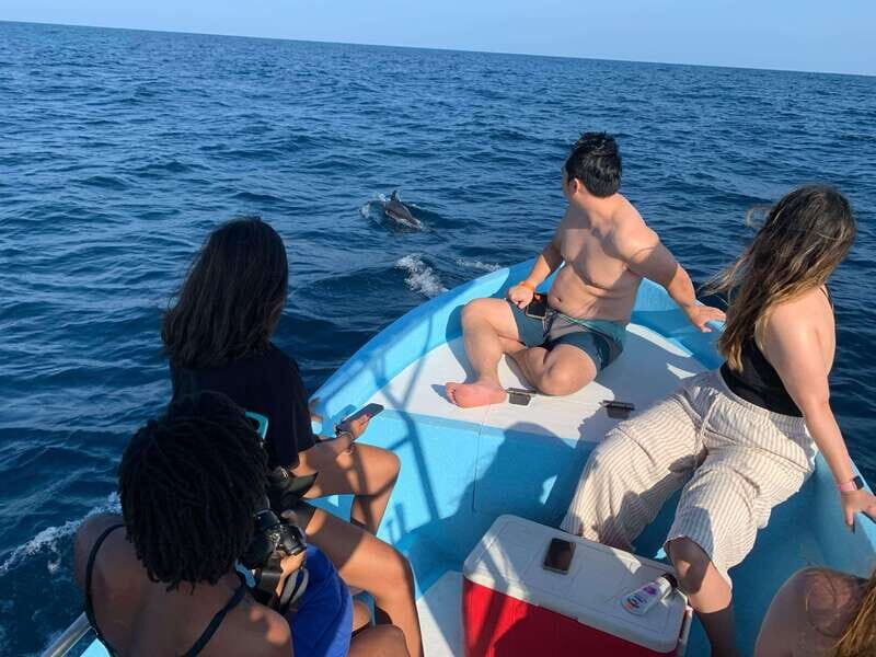 Puerto Escondido: Boat Tour to see Dolphins and Marine Life - Who Would Enjoy This Tour?