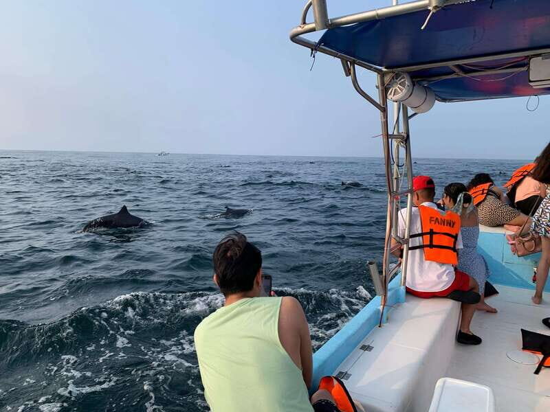 Puerto Escondido: Boat Tour to see Dolphins and Marine Life - FAQ
