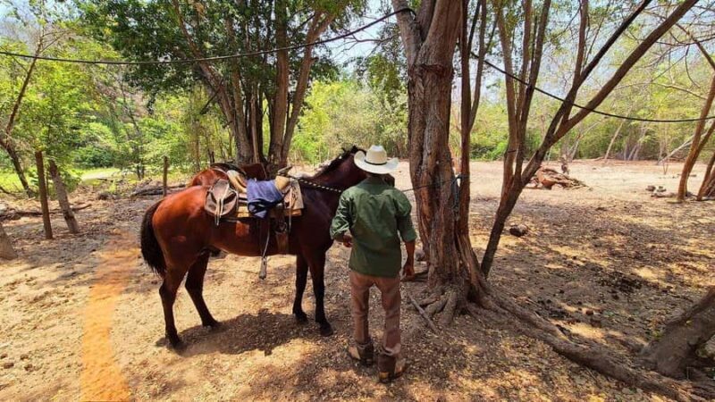 Puerto Escondido: Horseback Ride and Hot Springs Tour - Who Should Consider This Tour?