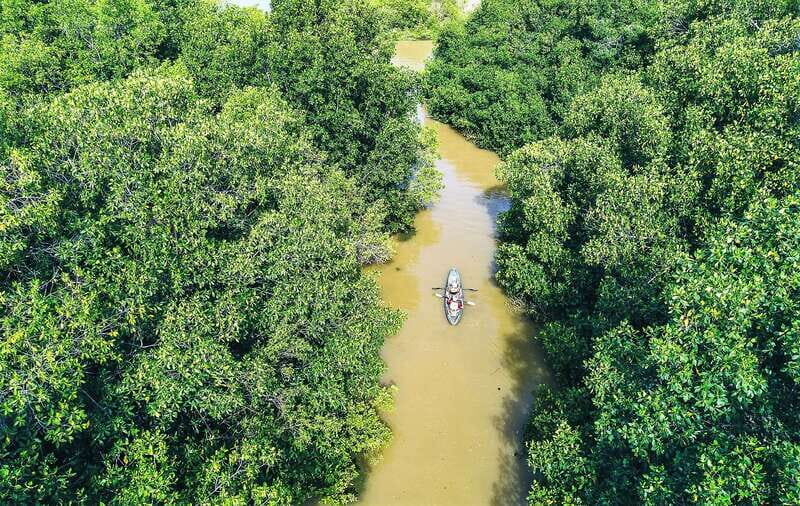 Puerto Escondido: Kayak Adventure On Manialtepec Lagoon - Who Will Love This Tour?