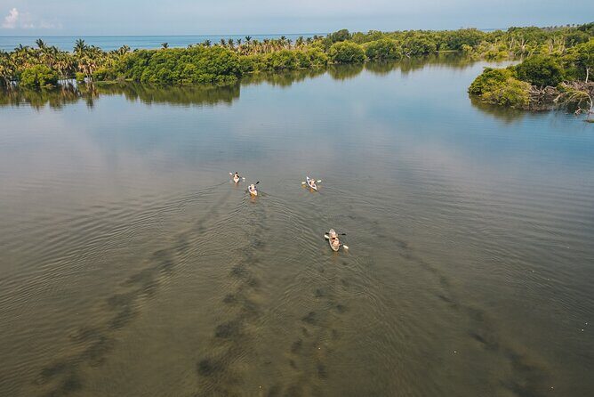 Puerto Escondido: Manialtepec Lagoon by Kayak - The Price and Its Value