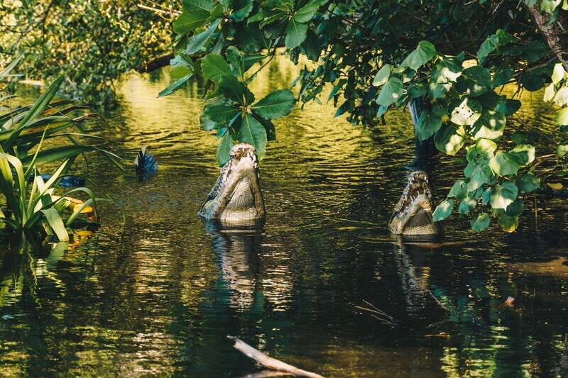 Puerto Escondido: Oaxaca Coast Wildlife Ecotour - The Sum Up: Is It Worth It?