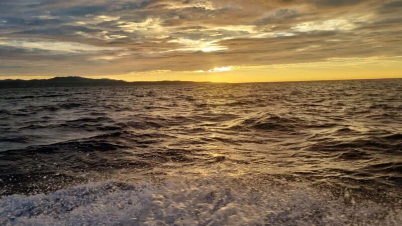 Puerto Escondido: The Best Adventure for Dolphin Watching - Authentic Encounters and Genuine Reviews