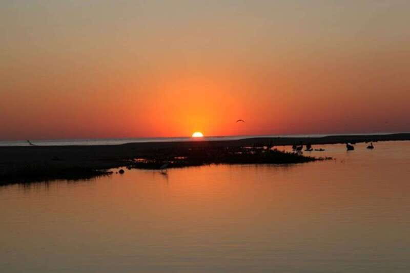 Puerto Escondido: Turtle Release and Bioluminescent Plankton - An In-Depth Look at the Tour Experience