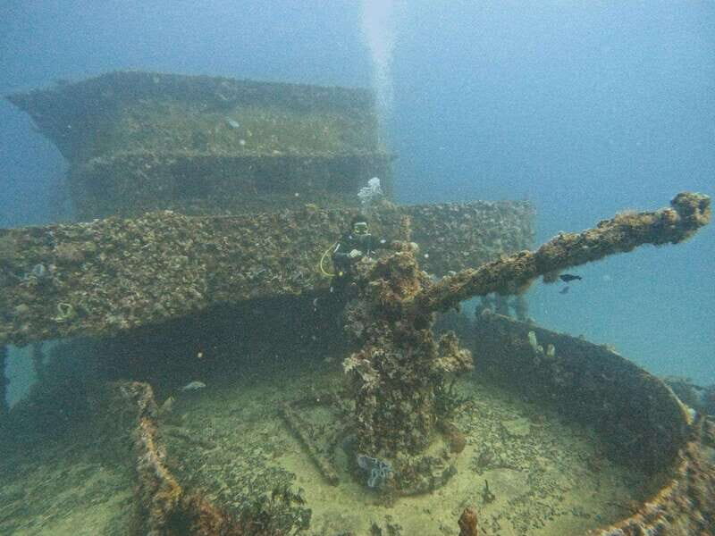 Puerto Morelos: C-56 Shipwreck & Reef for Certified Divers - Why This Tour Offers Great Value