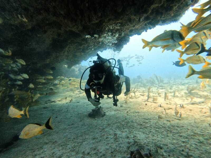 Puerto Morelos: C-56 Shipwreck & Reef for Certified Divers - FAQ