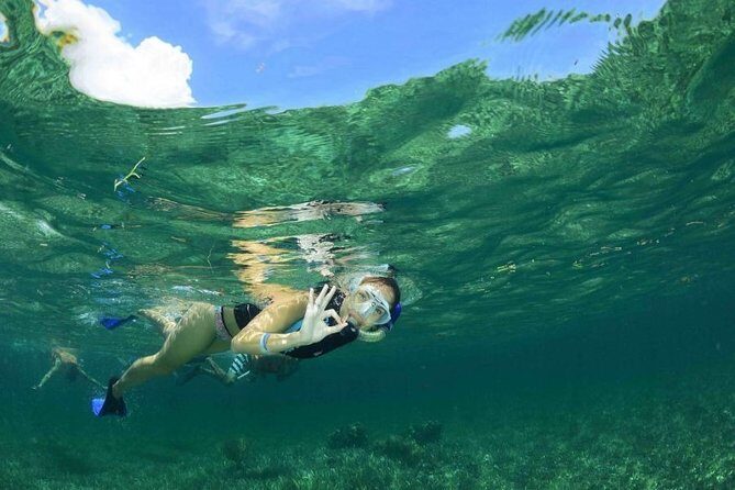 Puerto Morelos Half-Day Snorkel Tour - The Sum Up: Who Will Love This Tour?