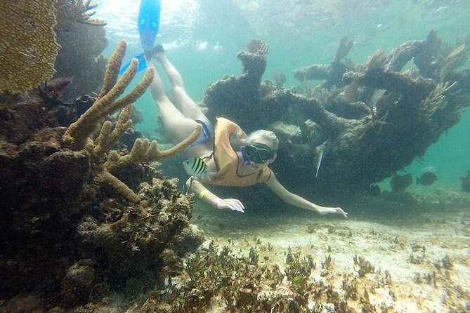 Puerto Morelos Half-Day Snorkel Tour - FAQ