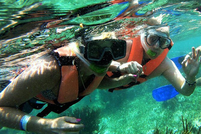 Puerto Morelos Reef Snorkel, 2 stops , local tacos, small groups! - Transportation, Duration, and Pricing: What You Need to Know