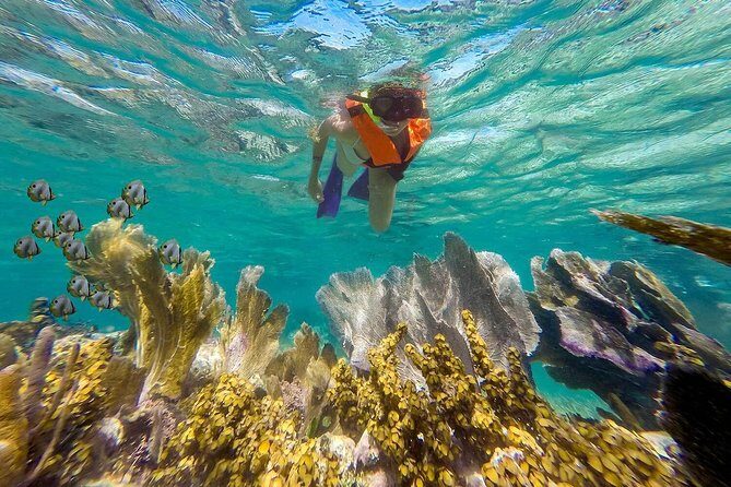 Puerto Morelos Reef Snorkeling Tour with Lunch & Hotel Pickup - Authenticity and Value