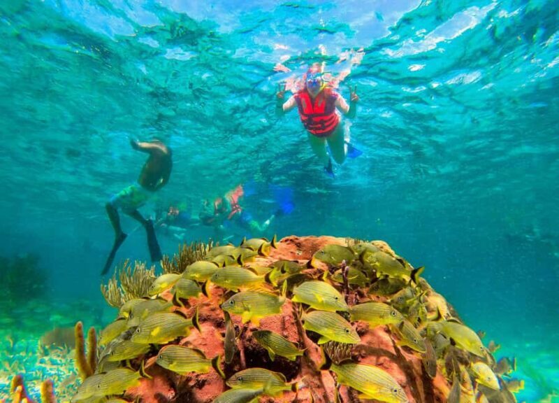 Puerto Morelos: Reef Snorkeling Trip with Beachside Lunch - The Sum Up: Who Will Love This Tour?