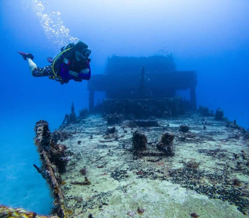 Puerto Morelos: Shipwreck and Reef Diving Tour - What to Expect from the Puerto Morelos Shipwreck and Reef Tour
