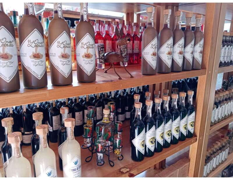 Puerto Morelos: Shopping Tour & Cenote Kin Ha - Overview of the Experience