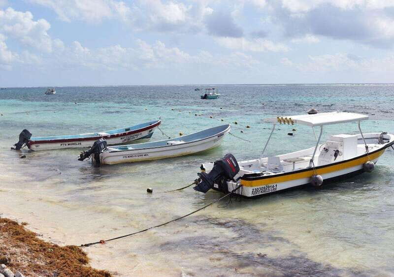 Puerto Morelos: Snorkel in Coral Reef with transportation - FAQ