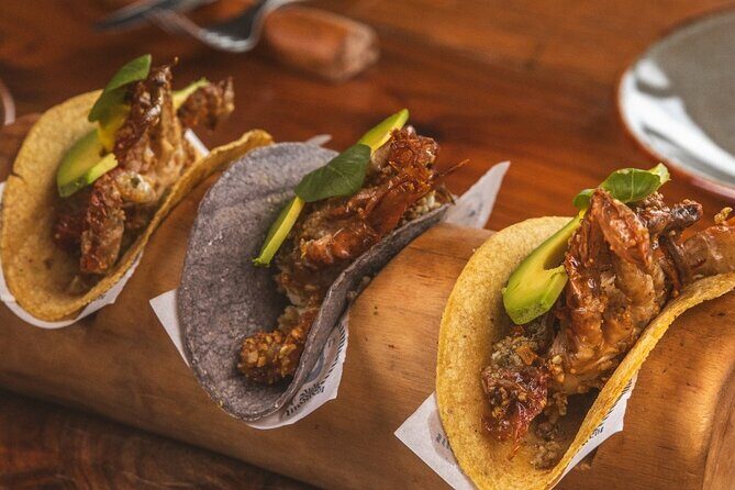 Puerto Morelos Snorkel Nature Tour ! Private from Cancun - An In-Depth Look at the Experience