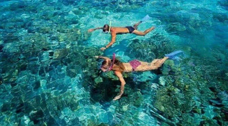 Puerto Morelos: Snorkeling at The National Reef Park - Exploring Puerto Morelos’ Reef: A Closer Look