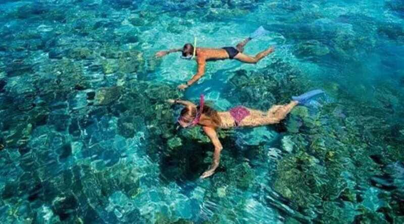 Puerto Morelos: Snorkeling at The National Reef Park - Who Should Consider This Tour?