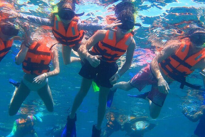 Puerto Morelos Snorkeling: Discover Vibrant Underwater Life - Who Will Love This Tour