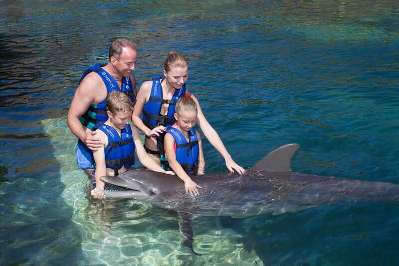 Puerto Morelos: Swim with dolphins Primax - Key Points