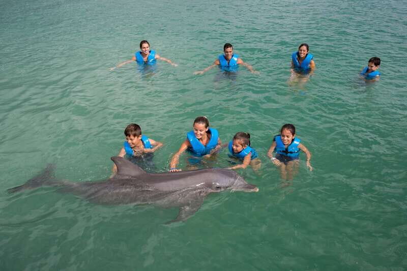 Puerto Morelos: Swim with dolphins Primax - An In-Depth Look at the Primax Dolphin Experience in Puerto Morelos