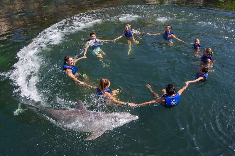 Puerto Morelos: Swim with Dolphins - What to Expect from the Tour