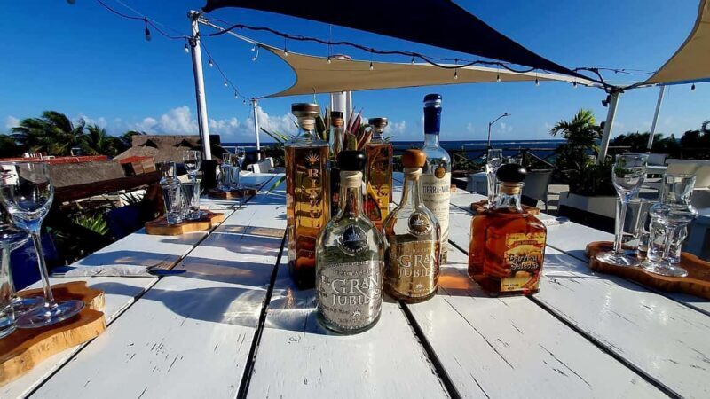 Puerto Morelos: Tequila University Gourmet Experience - Key Points
