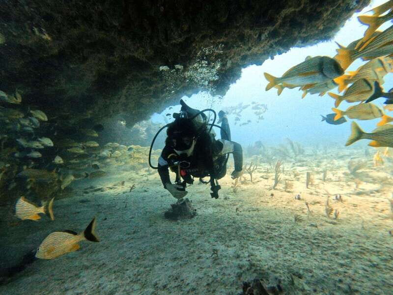 Puerto Morelos: Two Reef Dives for Certified Divers - The Itinerary and What to Expect