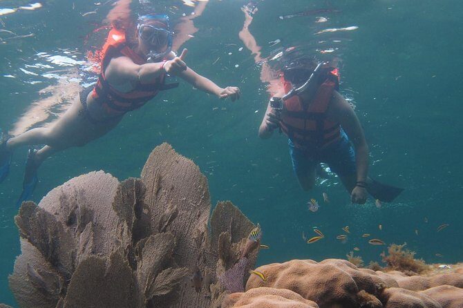 Puerto Morelos Two Reefs Snorkeling Tour - What to Expect When Booking the Puerto Morelos Two Reefs Snorkeling Tour