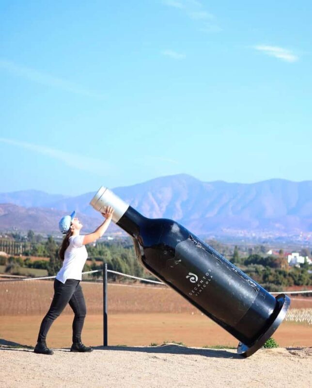 Puerto Nuevo & Valle de Guadalupe Tour with Lunch and Wine - A Taste of Baja’s Coastal Charm: Puerto Nuevo