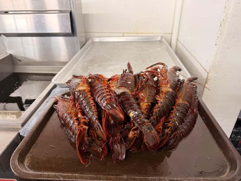 Puerto Nuevo & Valle de Guadalupe Tour with Lunch and Wine - Authentic Experiences and Local Flavor