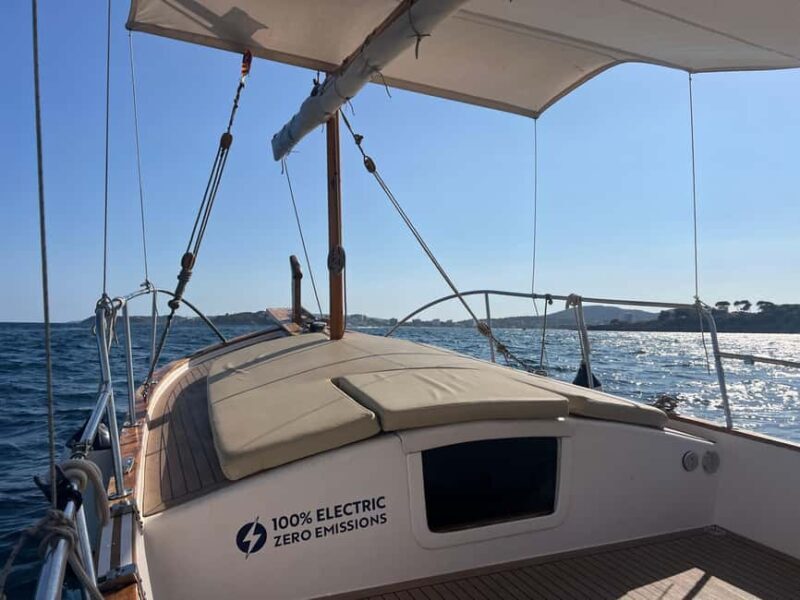 Puerto Portals: 100% electric Mallorcan boat tour with professional skipper - Key Points