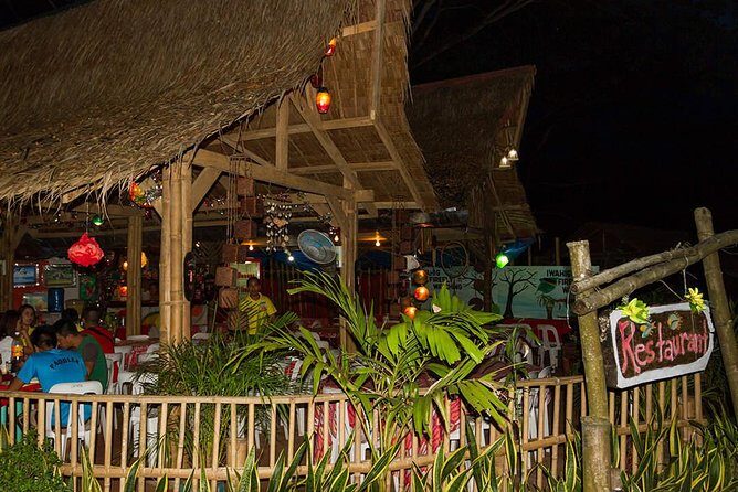 Puerto Princesa: Shared Firefly Watching - Who Should Consider This Tour?