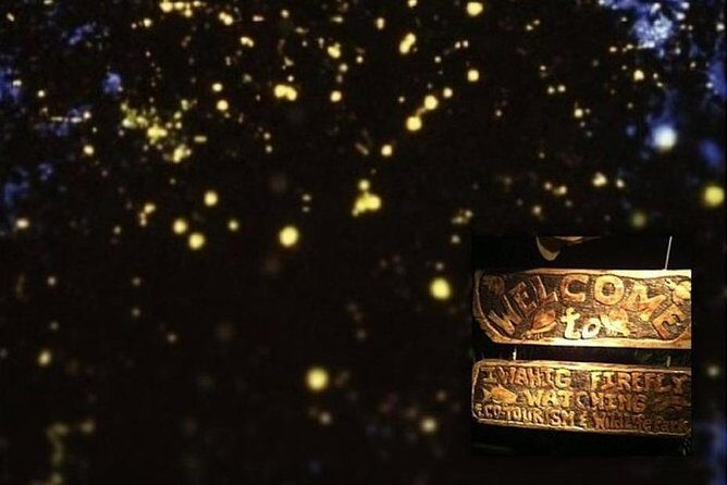 Puerto Princesa: Shared Firefly Watching - FAQ
