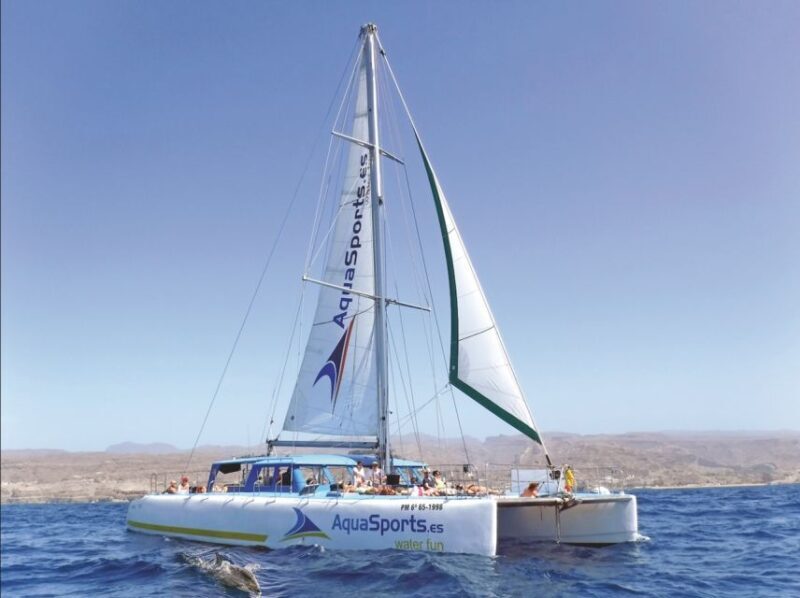 Puerto Rico: 4-Hour Catamaran Excursion in the South - Who is This Tour Best For?