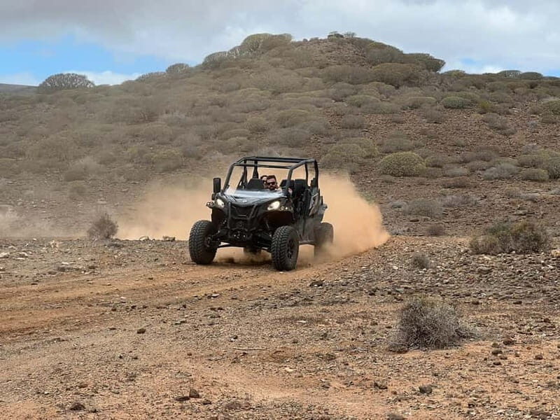 Puerto Rico de Gran Canaria: Offroad Buggy Tour - Who Will Love This Experience?